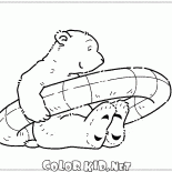 Orso polare