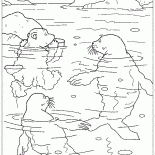 Lars e sigilli