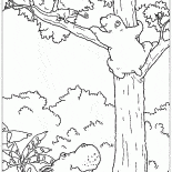 Lars e il camaleonte