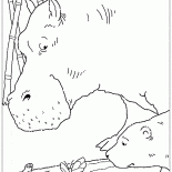 Farfalla foresta