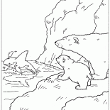 Orca salvato Lars
