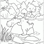 Orso Lars