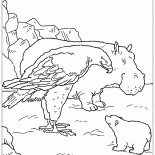 Aquila e Lars