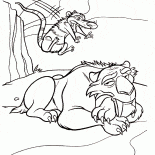 Possum assilla Diego