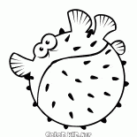 Globefish