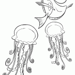 Dori e meduse