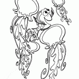 Meduse e Nemo