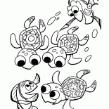 Tartarughe subacquea