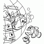 Dori linea