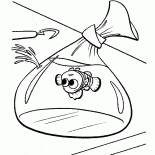 Nemo nel pacchetto