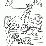 Heron caccia