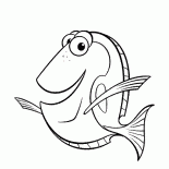 Matrigna di Nemo