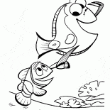 Scar notato la barca