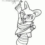 Maestro Shifu
