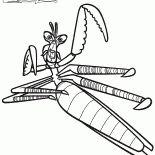 Maestro Mantis
