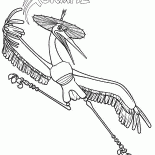 Maestro Crane