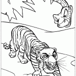 Shere Khan e Kaa
