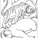 Sly tigre e Baloo