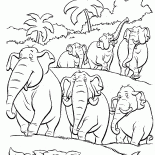 Uno stormo di elefanti