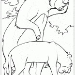 Baloo e Bagheera per trovare