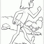 Mowgli viaggiare sicuri