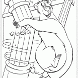 Orso Balоо