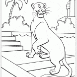 Panther Bagheera