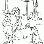 Biscotti per raccoon