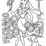 Amici Pocahontas