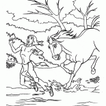 Nativi americani e cavallo