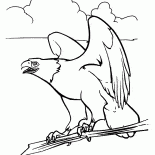 Aquila e Spirito