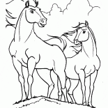 Capo del gregge