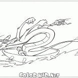 Mushu e grillo sullacqua
