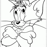 Gatto e al topo
