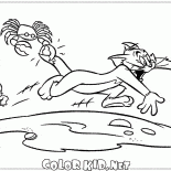 Granchio e Tom