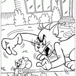 Tom cattura Jerry