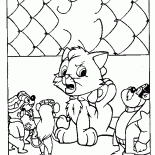 Gattino in difficoltà