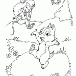 Dale, Zipper e Gadget