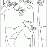Pini Scoiattoli 