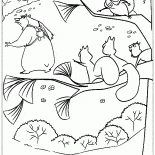 Scoiattoli e orso