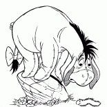 Donkey e il bruco