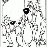 Lady, Accattone e Boris