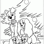 Cuccioli e cani