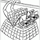 Gatti nel cestino