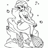 Ariel