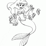 Ariel e cavallucci marini