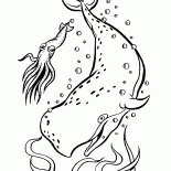 Whale in the Ocean