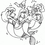 Gli amici di Ariel