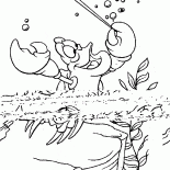 Sebastian come un direttore dorchestra