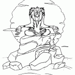 Rafiki al tramonto